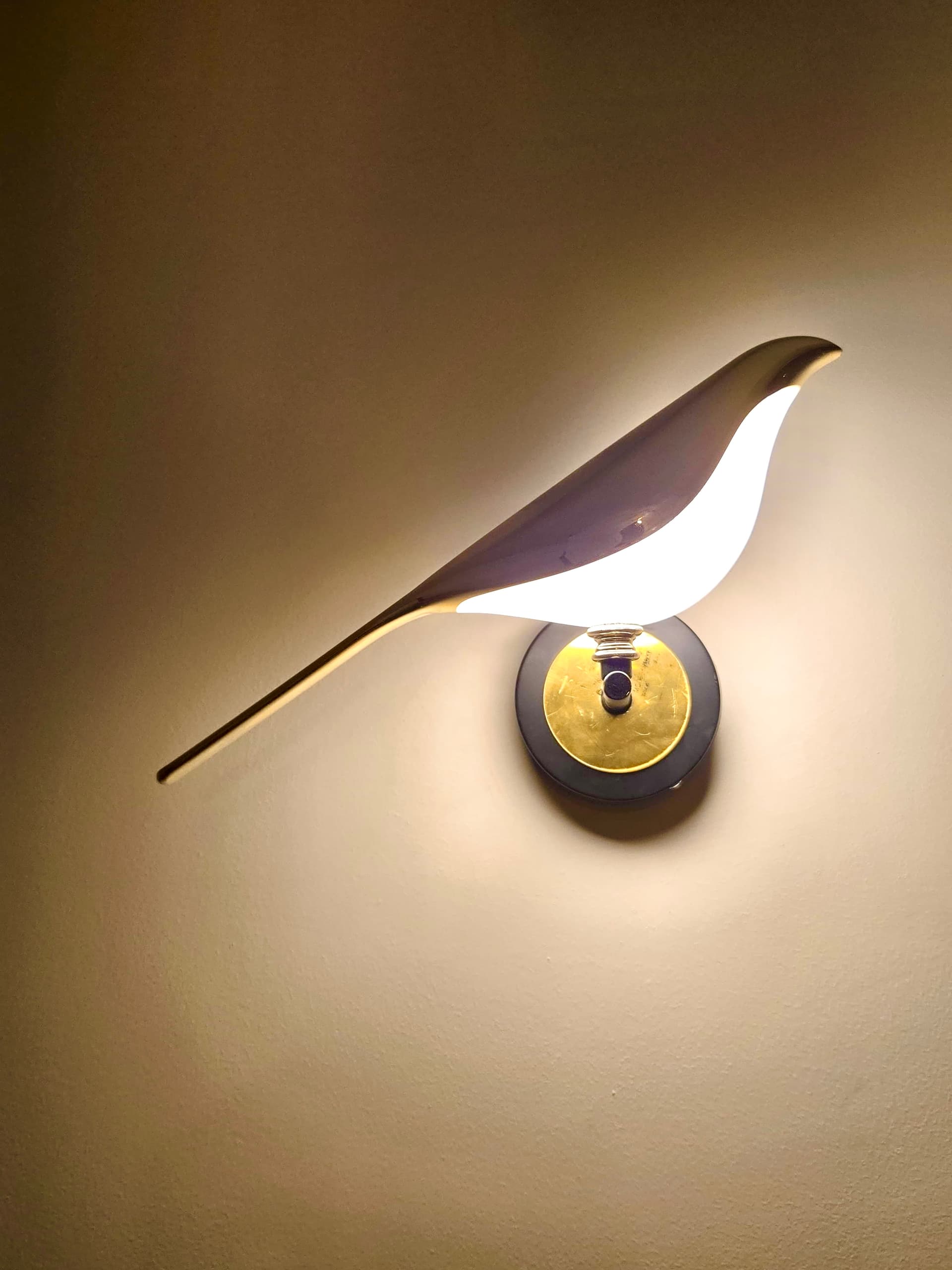 Premium Homestay in C-Scheme Jaipur